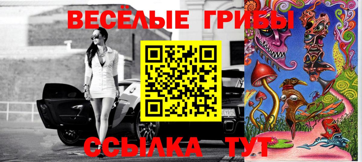 Псилоцибиновые грибы Psilocybine cubensis  Вход с VPN  Псилоцибиновые грибы мицелий  Гусь-Хрустальный 