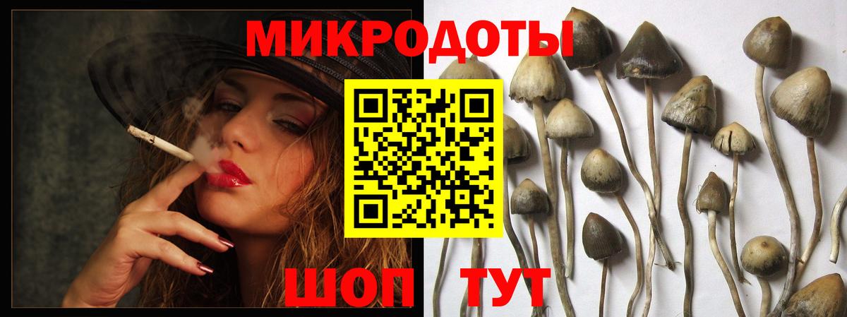Галлюциногенные грибы Psilocybine cubensis Гусь-Хрустальный